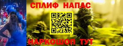 амф Обь