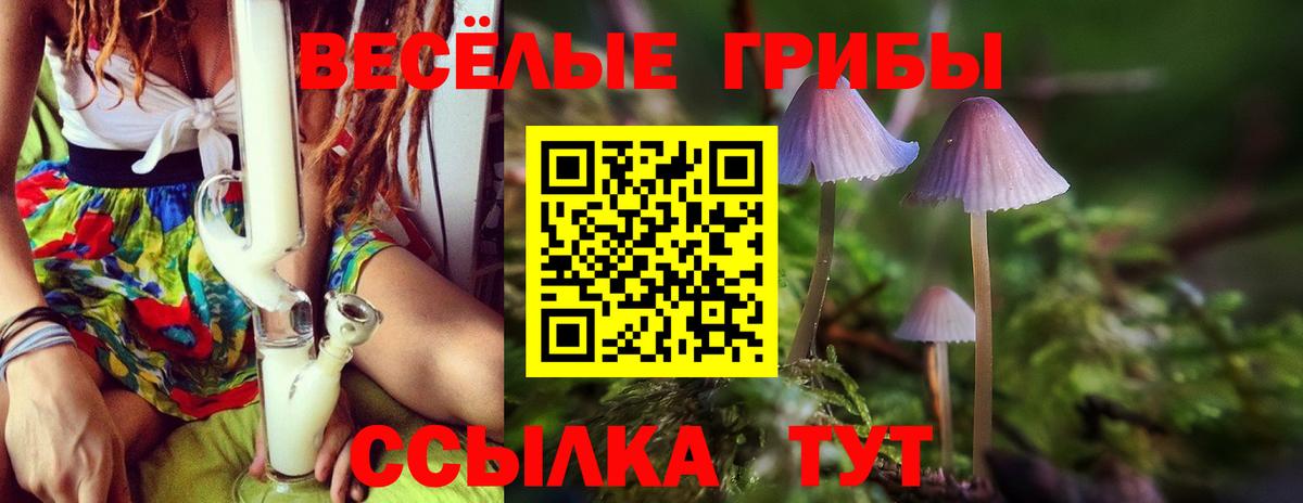Галлюциногенные грибы Magic Shrooms Ржев
