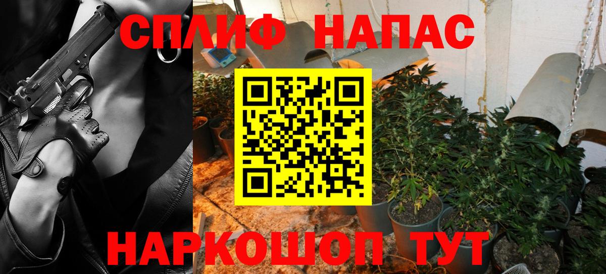 Канабис конопля Ржев
